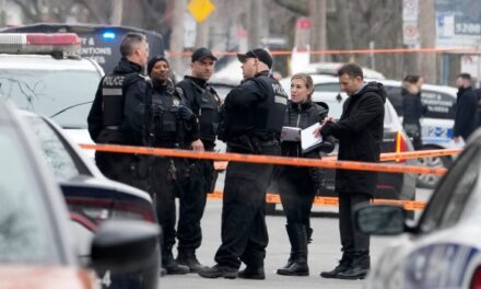 <strong>3 người bị đâm chết ở khu phố Rosemont của Montreal, 1 người bị bắt</strong>