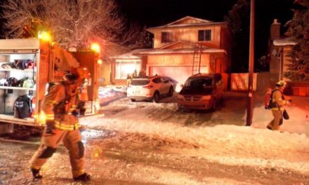 7 người thoát khỏi vụ cháy nhà ở phía đông bắc Calgary, nhưng 5 thú cưng đã chết