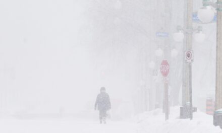 <strong>Cảnh báo tuyết rơi cho cơn bão lớn nhất trong mùa của Toronto</strong>