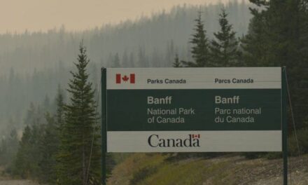 Công viên Canada tiết lộ thêm chi tiết về vụ gấu tấn công chết người ở Banff