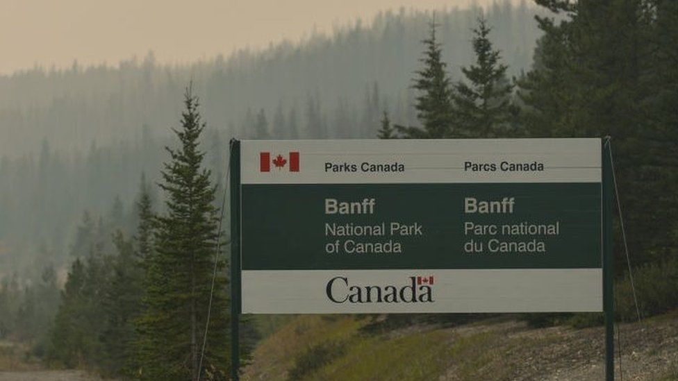 Công viên Canada tiết lộ thêm chi tiết về vụ gấu tấn công chết người ở Banff