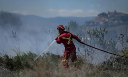 Người đàn ông tại BC phải trả 450.000 đô vì gây ra cháy rừng