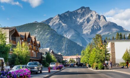 Phải làm gì nếu bạn ở Banff vào mùa hè này?