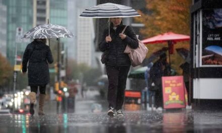 Tàn dư của bão Isaias sẽ mang đến những cơn mưa rải rác cho Toronto vào cuối tuần Lễ Tạ ơn này